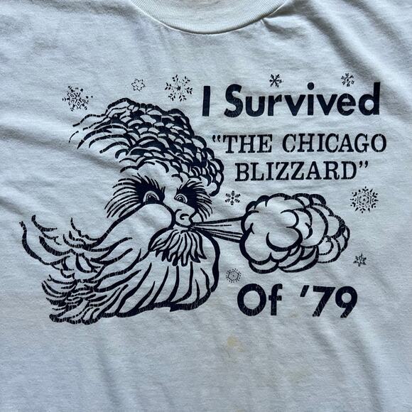 True Vintage 70s I Survived Chicago Blizzard 79 T Shirt Single Stitch M Winter - Picture 2 of 8